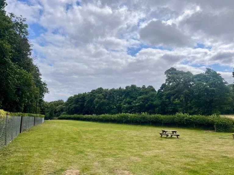 1 Acre Panpwnton Dog Park 768x576